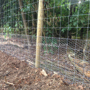 Hot Dipped Galvanized Field Wire Fencing